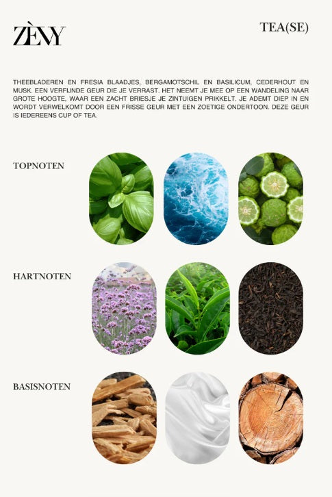TEA(SE) | WASPARFUM | ZOET & FRIS